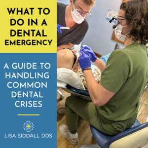 Learn how to handle common dental emergencies like broken teeth or toothaches with this expert guide. Dr. Lisa Siddall and Dr. Austin Dunn at Lisa Siddall, DDS, in Lake Leelanau, offer emergency dental services in Lake Leelanau to help you manage any dental crisis promptly.